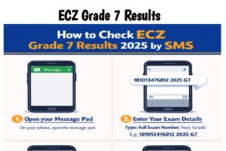 ECZ Grade 7 Results 2025/2026