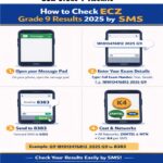 ECZ Grade 9 Results 2025/2026