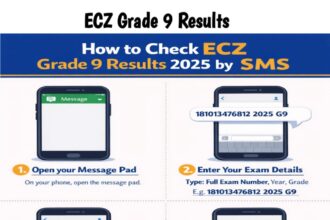 ECZ Grade 9 Results 2025/2026