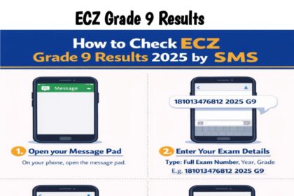 ECZ Grade 9 Results 2025/2026